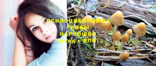 спиды Баксан
