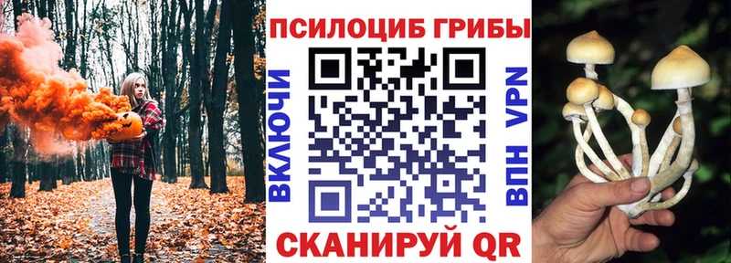 Псилоцибиновые грибы прущие грибы  Сретенск 